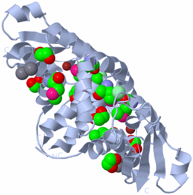 Image Biological Unit 1