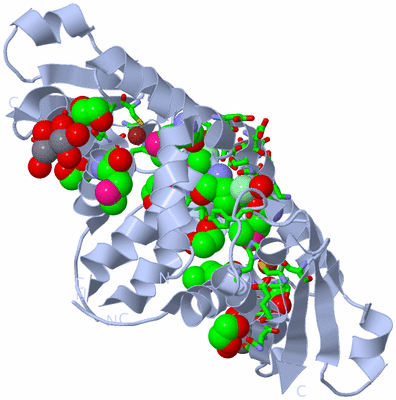 Image Biol. Unit 1 - sites