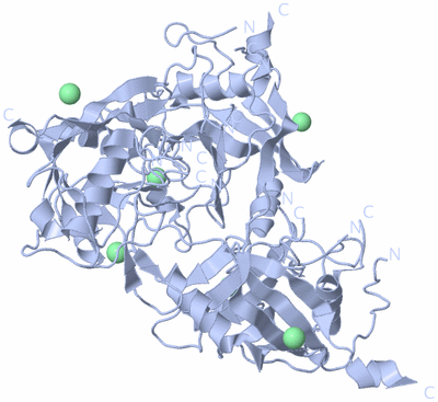 Image Biological Unit 1