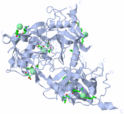 Image Biol. Unit 1 - sites