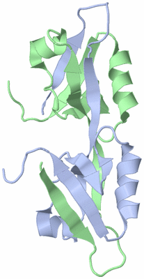 Image NMR Structure - model 1
