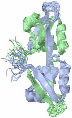 Image NMR Structure - all models