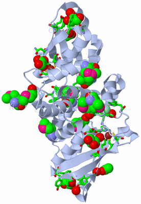 Image Biol. Unit 1 - sites