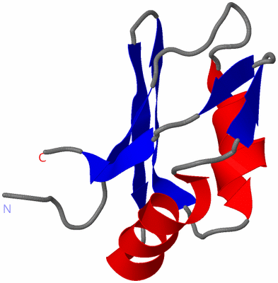 Image NMR Structure - model 1