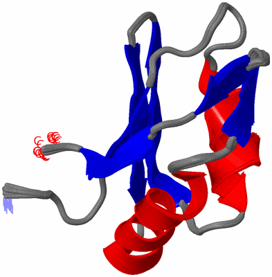 Image NMR Structure - all models