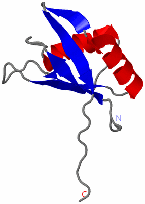 Image NMR Structure - model 1