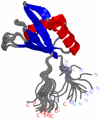 Image NMR Structure - all models