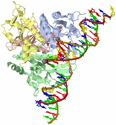 Image Asym./Biol. Unit