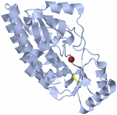 Image Biological Unit 1