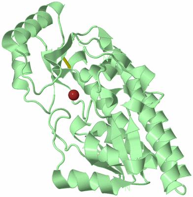 Image Biological Unit 2