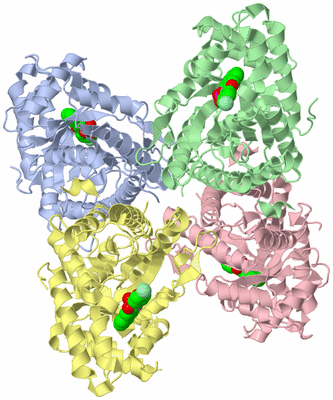 Image Asym./Biol. Unit