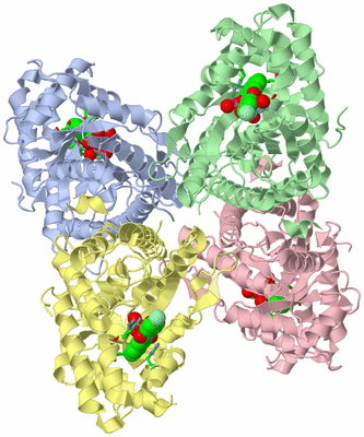 Image Asym./Biol. Unit - sites