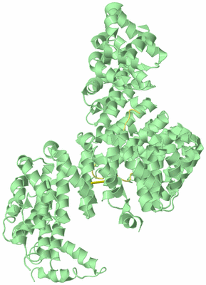 Image Biological Unit 2