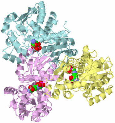 Image Biological Unit 2