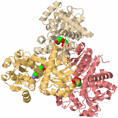 Image Biological Unit 3