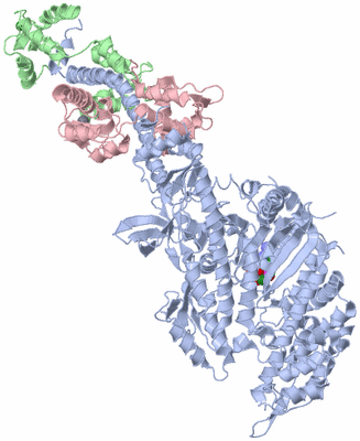 Image Asym./Biol. Unit