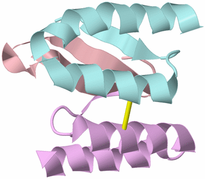 Image NMR Structure - model 1