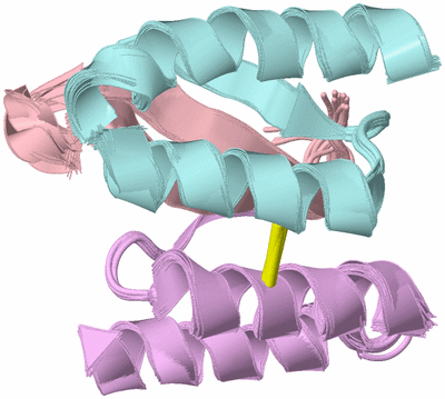 Image NMR Structure - all models