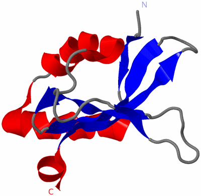 Image NMR Structure - model 1