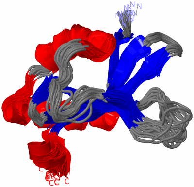 Image NMR Structure - all models