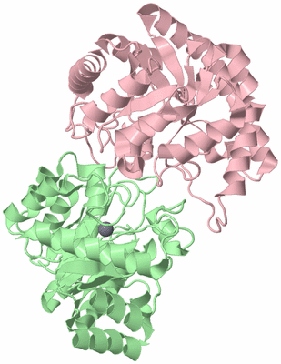 Image Biological Unit 2