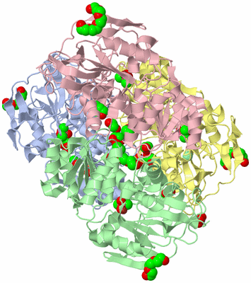 Image Asym./Biol. Unit