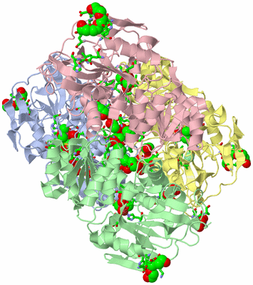 Image Asym./Biol. Unit - sites