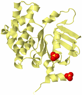 Image Biological Unit 4