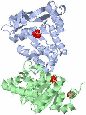 Image Biological Unit 5