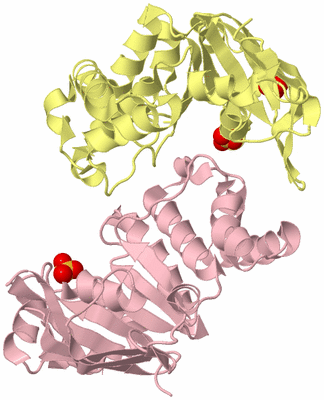 Image Biological Unit 6