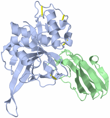 Image Asym./Biol. Unit