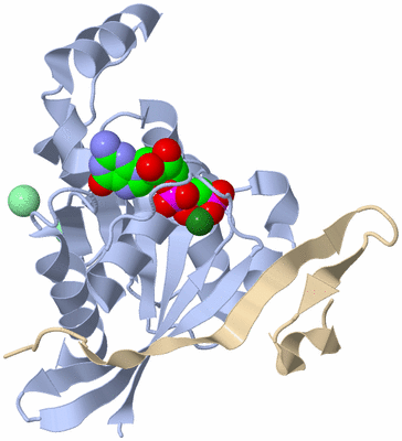 Image Biological Unit 1