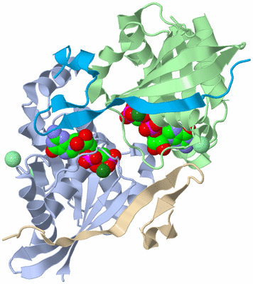 Image Biological Unit 10