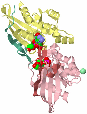 Image Biological Unit 11