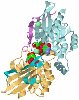 Image Biological Unit 12