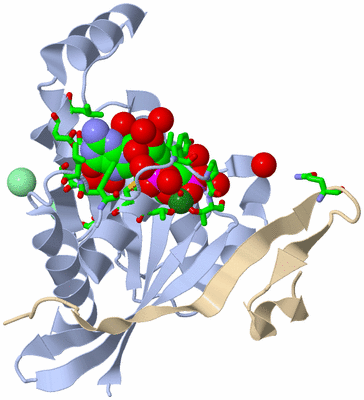 Image Biol. Unit 1 - sites