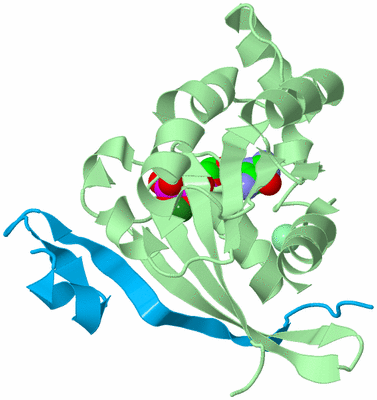 Image Biological Unit 2