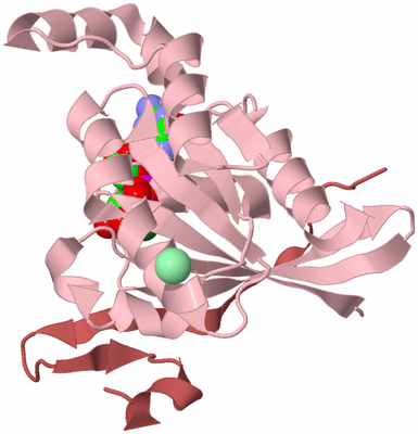 Image Biological Unit 3