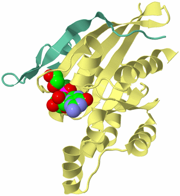 Image Biological Unit 4