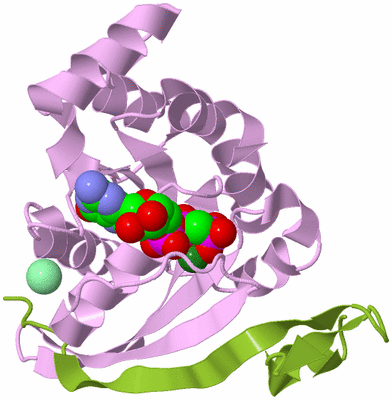 Image Biological Unit 5