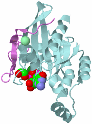 Image Biological Unit 6