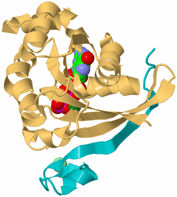 Image Biological Unit 7