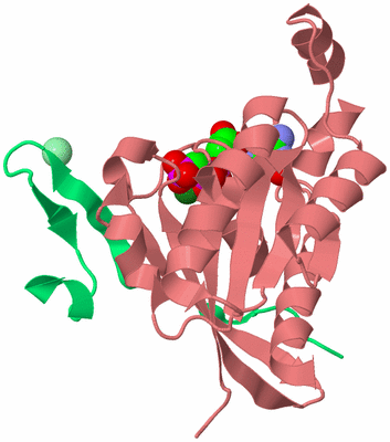 Image Biological Unit 8