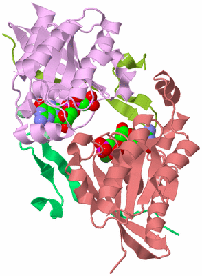 Image Biological Unit 9