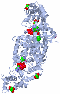 Image Biological Unit 1