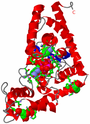 Image Asym. Unit - sites