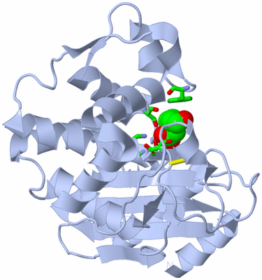 Image Biol. Unit 1 - sites