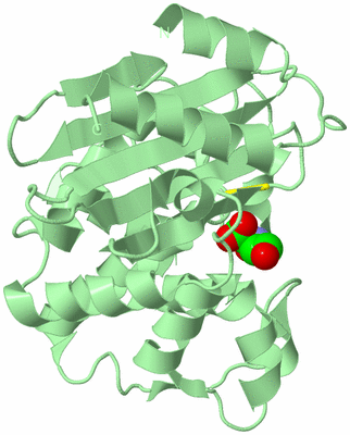 Image Biological Unit 2