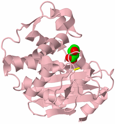 Image Biological Unit 3