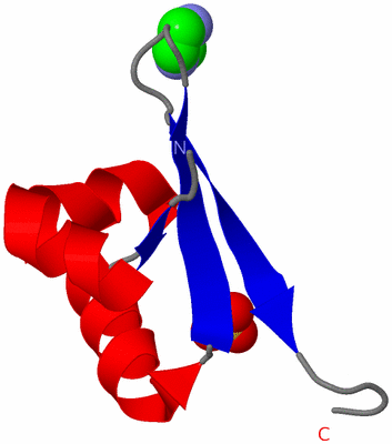 Image Asymmetric Unit